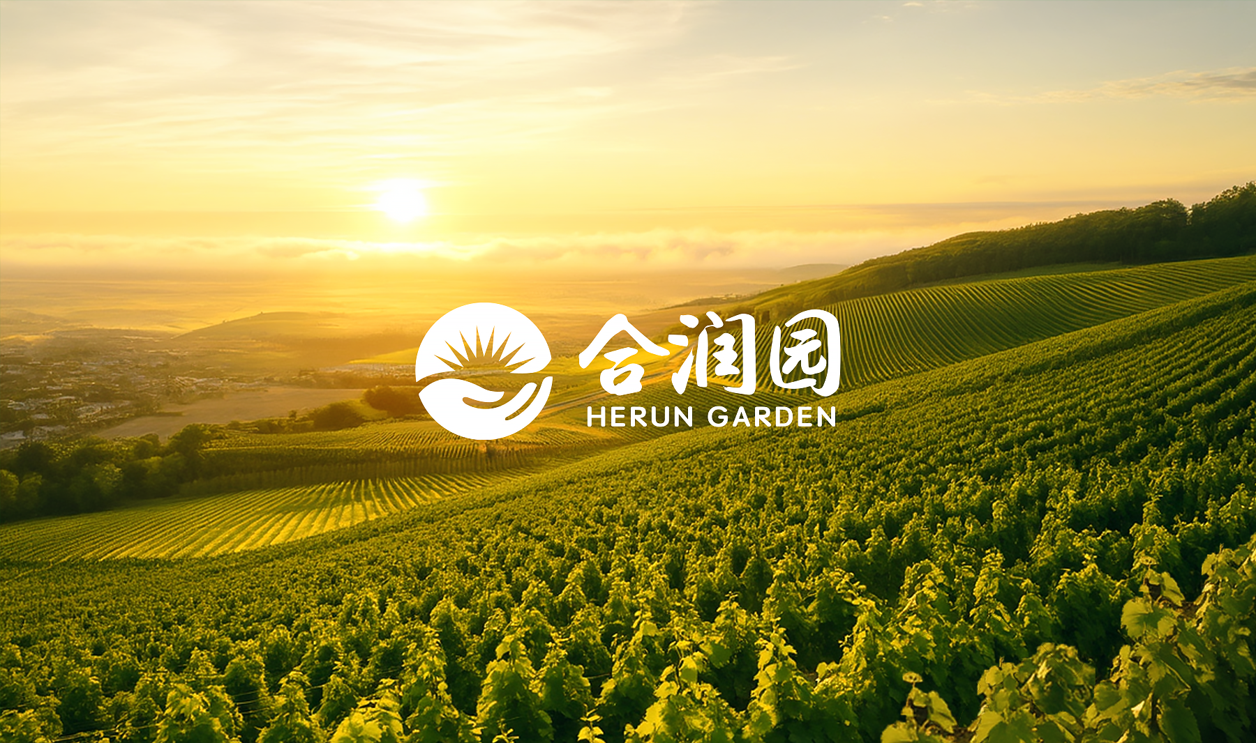品牌命名合润园2.png